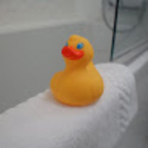 Meet your Posher, Grace